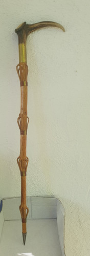 Gehstock rosenholz mit - rosenholz,