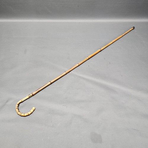 Alter bambus flanierstock - bambus,