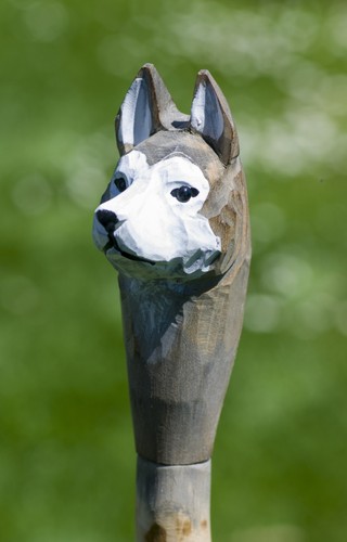 Wolf hund wanderstock - wolf, für