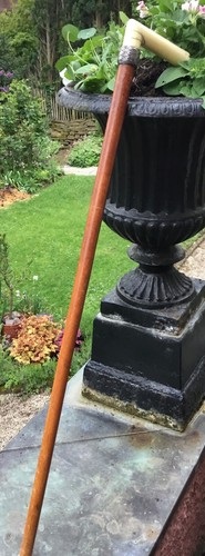 Antiker schöner spazierstock - antiker,